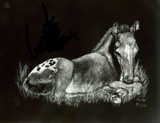 by Anne Kelty