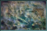 by tjames zanotti