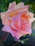 by Evonne Bishop