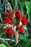 by sharon hendrickson