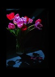 by DEE JOBES PHOTOGRAPHY