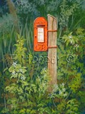 by Fiona Hooper
