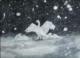 by Maureen Girard