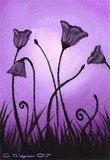 by Elaina Wagner