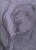 by Jeri Redmon