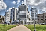 by Dr Moshe Porat
