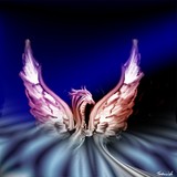 by Libbe Bouma