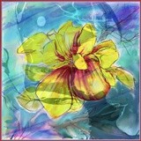 by Ingrid Kolster