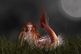 by Ben Vienerius