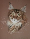 by Joanne Simpson-Connor