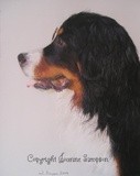 by Joanne Simpson-Connor