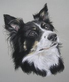 by Joanne Simpson-Connor