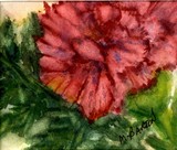 by Marilyn Barton