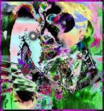 by Barry Huyett