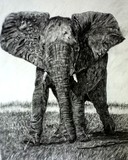 by Deborah L. Duffield