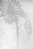 by Annika N