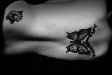 by Kyle Basile
