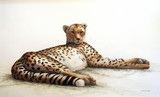 by Kathie Miller