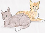 by Kayla Totos