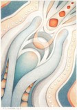 by Amy Turner