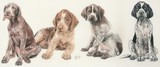 by Barbara Keith
