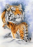 by Barbara Keith