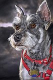 by Ron Errera