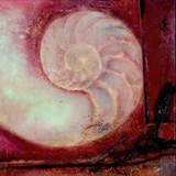 by Kathy Morton-Stanion