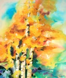 by Kathy Morton-Stanion