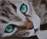 by Michele Turney
