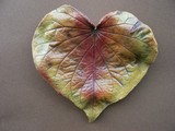 by Nanci Shufritz