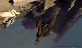 by Elwyndas Raven