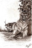 by Kim  Lawrie