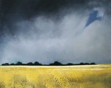 by David Taylor