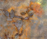 by LISETTE GOSSELIN COTE