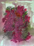 by Maria Anna Machado