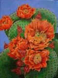 by Linda Scott Fulton