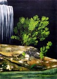 by Patricia Griffin Brett