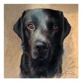 by Lynne Davies