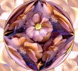 by Stefani Wehner
