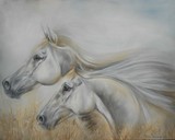 by Nora Begona