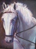 by Joan  Wulff