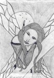by kricket stewart
