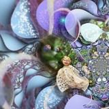 by Sara Deutsch