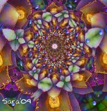 by Sara Deutsch