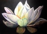 by Shirley Charlton