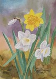 by Carol Thompson