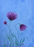 by Patricia Elgee