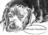 by Wendy Hutchison