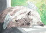 by Drusilla Kehl